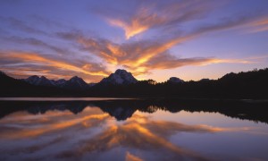 澳大利亞嬰兒奶粉真的比其他品牌更優質嗎？