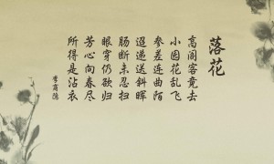  成人補鋅十大名牌_成人補鋅哪個牌子的含鋅量高