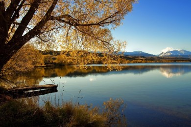 2025年三輪車十大品牌排行榜-三輪車什么牌子好