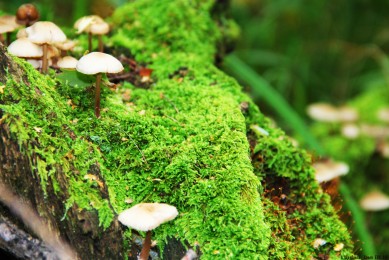 寶寶防曬霜十大品牌排行榜_寶寶防曬霜品牌排名_寶寶防曬霜品牌排行榜