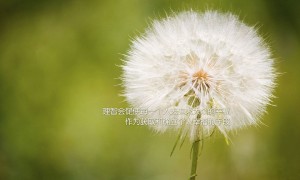 GOOD_HEALTH品牌_GOOD_HEALTH實力檔次排名