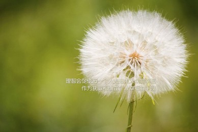 MAGICBUS品牌_MAGICBUS實力檔次排名