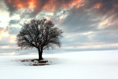 辣椒產業：全國辣椒產業大會在清豐召開