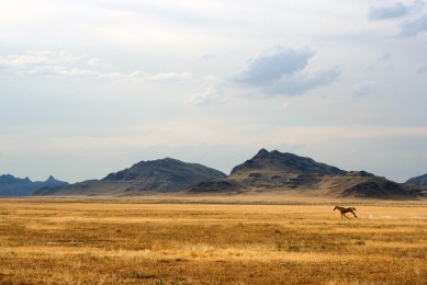 十大光譜儀品牌-光譜分析儀廠家有哪些