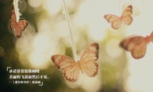 十大最恐怖遠(yuǎn)古昆蟲：食鳥蛛，它是龐然大物