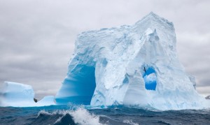 脫脂奶粉和全脂奶粉，哪個更適合日常飲用？