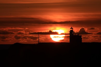 點讀機什么牌子好_點讀機十大品牌排行榜