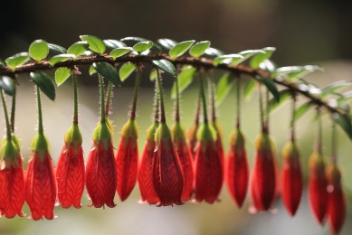 2025中國互聯網大會今日在京召開