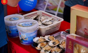 珠港澳三地漁民同慶豐收，“媒體+”引領(lǐng)現(xiàn)代農(nóng)業(yè)“特區(qū)路徑”