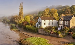 懷孕奶粉真的能有效補充孕期營養嗎？