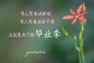  山地車十大名牌2020_山地車十大名牌性價比高