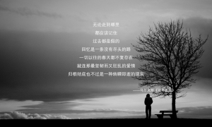 青海湖油菜花什么時(shí)候開(kāi)_青海湖油菜花幾月份開(kāi)