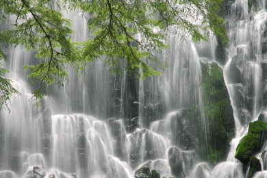 什么是小廚寶？小廚寶的功能和原理是什么？