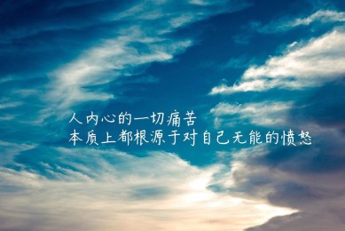 MEIRENYU.MEIRENYU品牌_MEIRENYU實力檔次排名