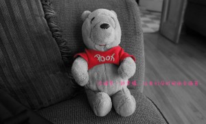 毛玻璃十大品牌榜-2025毛玻璃品牌排行榜