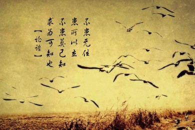  家庭窗簾十大名牌_窗簾哪個(gè)牌子好十大排名