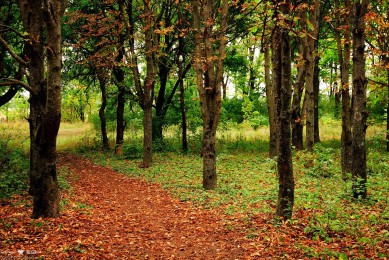 細跟涼拖十大品牌排行榜_細跟涼拖品牌排名_細跟涼拖品牌排行榜
