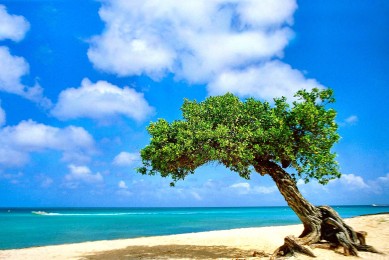 2025-2030年中國不銹鋼拉砂角鋼行業市場深度研究及發展前景投資可行性分析報告