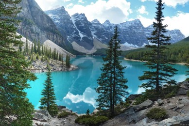 ARTISTIC&CO.品牌_ARTISTIC&CO.實力檔次排名