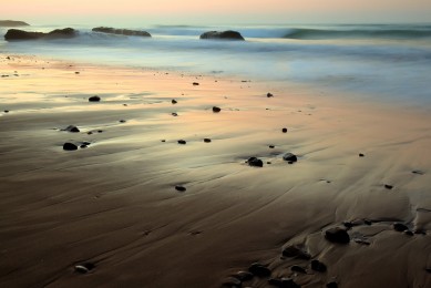 2025中國國際精細化工展在滬隆重召開