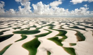 過期奶粉能干嘛？