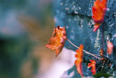 2025年不銹鋼門窗十大品牌排行榜-不銹鋼門窗什么牌子好