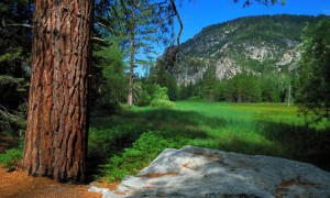 杭州十大互聯網公司-杭州互聯網企業十強