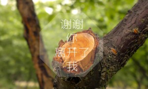 全自動食品安全檢測儀常見的維修保養攻略