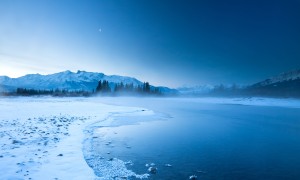 用奶粉串貨違法嗎？深入探討奶粉串貨行為的法律與道德邊界