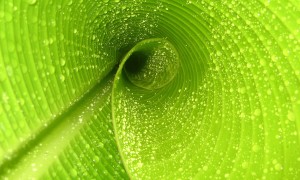 寶寶一喝奶粉就吐怎么回事？可能是這幾種原因導致的