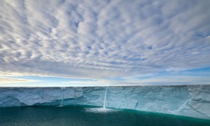 奶粉十強中，哪款奶粉最值得信賴？