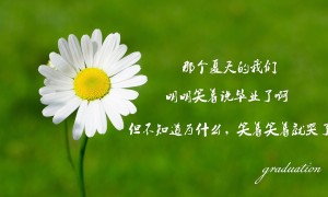 衡陽市中心醫院心內科卵圓孔等耗材采購項目招標公告