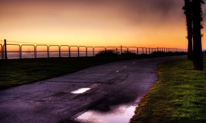 豆奶粉中的主要成分是什么，它們對健康有哪些影響？