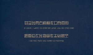 滑板鞋十大品牌榜-2025滑板鞋品牌排行榜