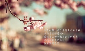 8cm布面女鞋品牌排行榜-女士涼鞋哪家品牌好