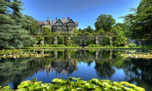 好消化好吸收的奶粉真的適合所有人嗎？