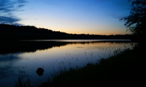 七個月寶寶每天應該吃多少奶粉？