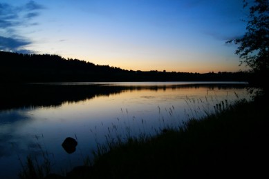 POS機終端編號揭秘，唯一標識，連接商戶與支付系統