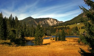 奶粉一共分幾段？——奶粉的分段標準及其重要性