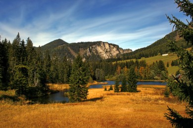 十大插秧機(jī)品牌:小型插秧機(jī)-手扶插秧機(jī)品牌排行榜