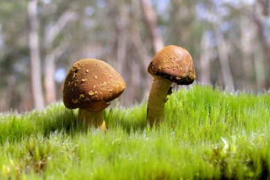 韓國十大燒腦推理電影_韓國高分推理電影_韓國懸疑推理片推薦