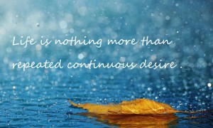 沙灘巾十大品牌榜-2025沙灘巾品牌排行榜