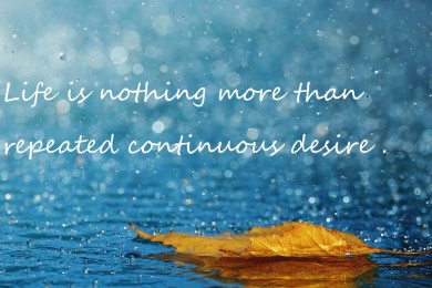 嘉寶和地球最好嬰兒米粉對(duì)比？哪款好？