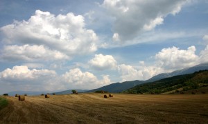 逍遙丸十大品牌排行榜_逍遙丸品牌排名_逍遙丸品牌排行榜