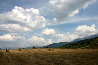 丹東青山溝和本溪虎谷峽哪個更值得去 丹東青山溝和本溪虎谷峽哪個好玩