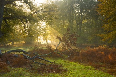 瓷磚什么品牌好？市場上瓷磚品牌眾多，如何選擇合適的品牌呢？