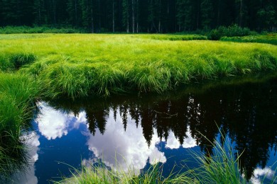 韓國十大燒腦推理電影_韓國高分推理電影_韓國懸疑推理片推薦