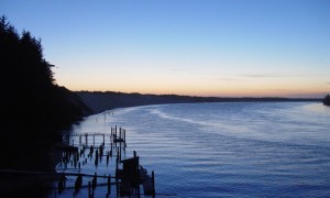 吃奶粉后多久喝水：科學依據與健康建議