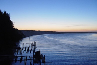 阿莫西林十大品牌排行榜_如何選擇阿莫西林品牌