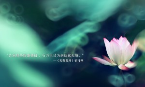 7代i5品牌排行榜-筆記本哪家品牌好